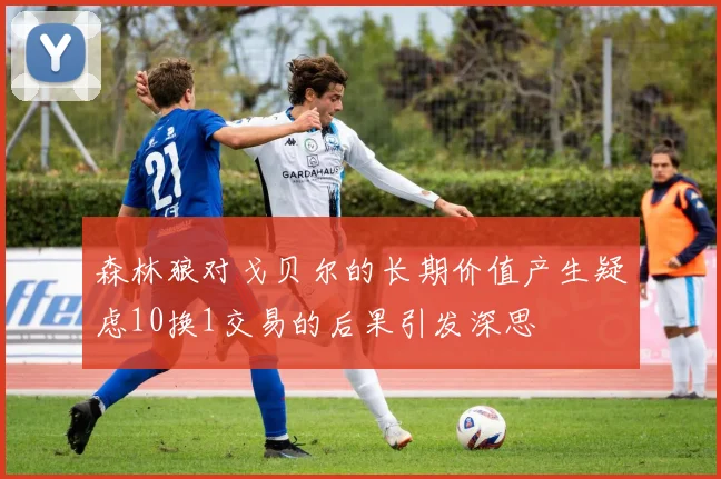 森林狼对戈贝尔的长期价值产生疑虑10换1交易的后果引发深思